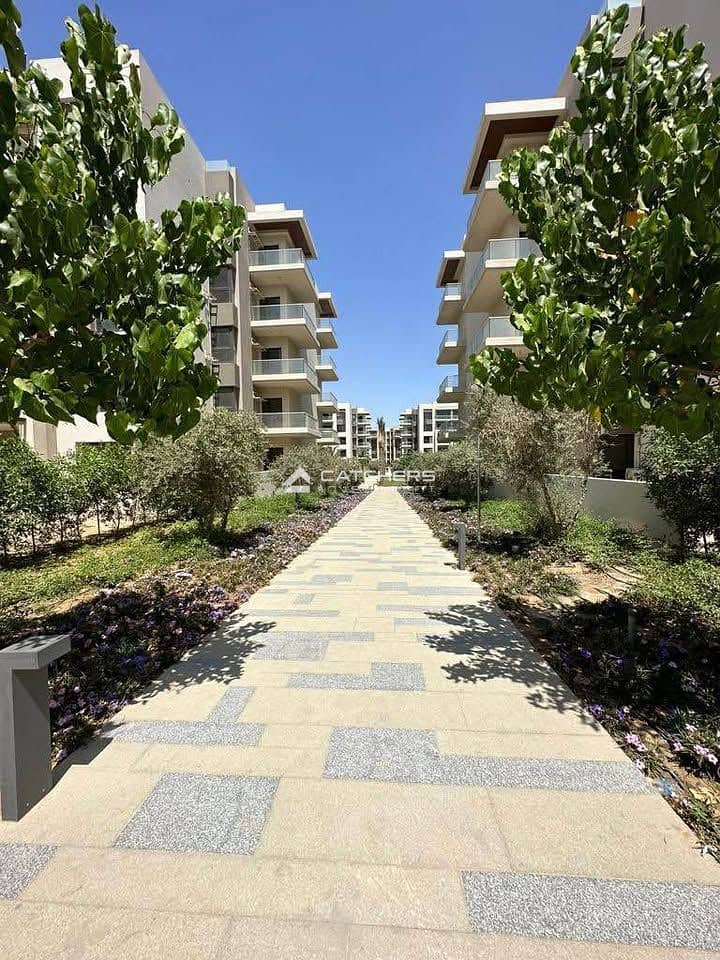 9 566930430_1377487990387168_6343301167172602298_n. jpg