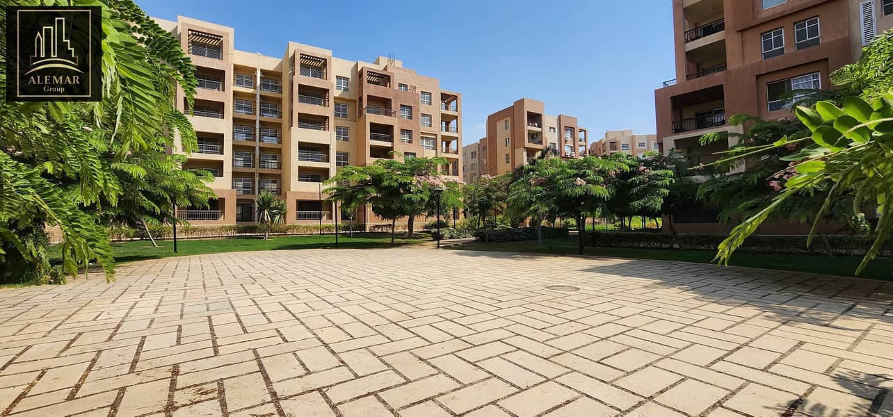 10 536252809_122247255122314064_2232821026679784473_n. jpg