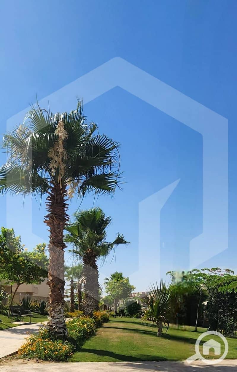 11 The Crown 11. jpg