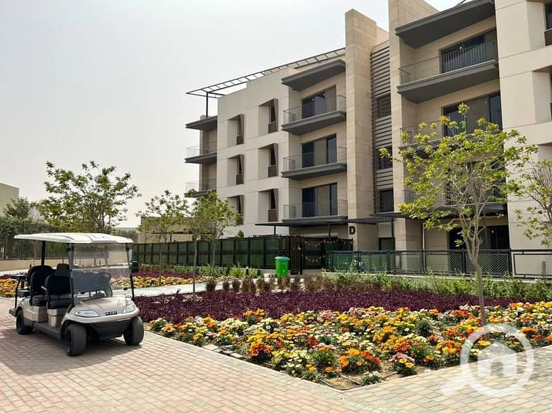 6 530410885_24403081139311369_6318694103539848996_n. jpg