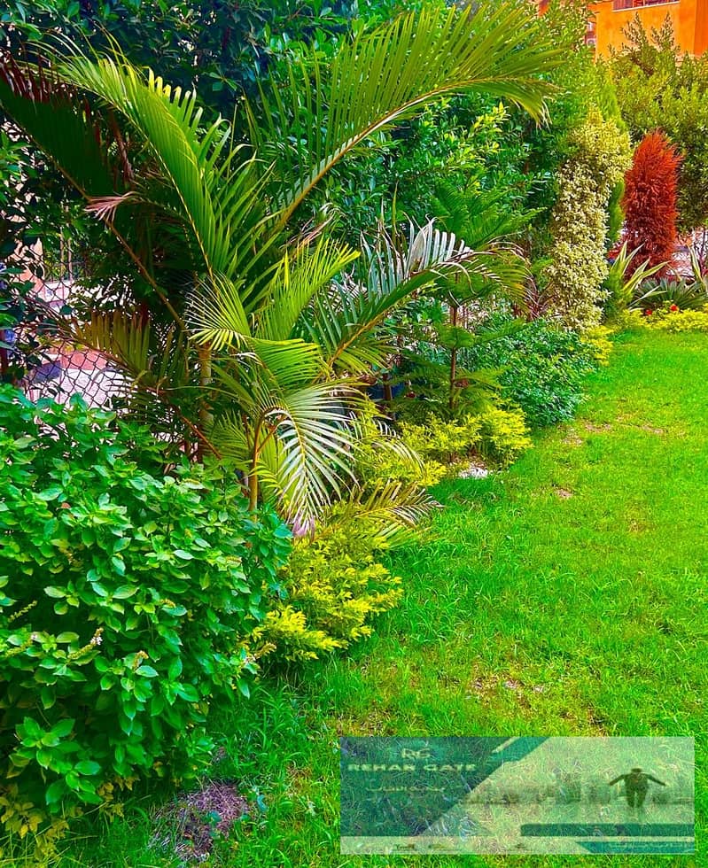 13 WhatsApp Image 2025-11-02 at 1.02. 14 PM. jpeg