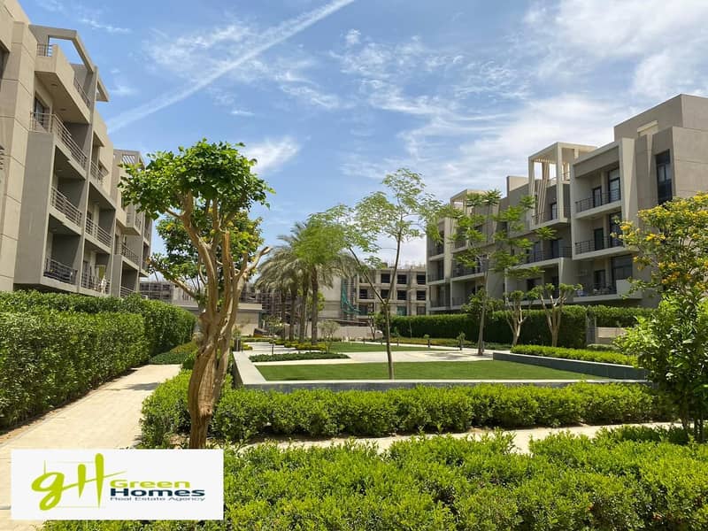 10 895b64ea-3c1d-409c-a798-9358153979f0. jpg