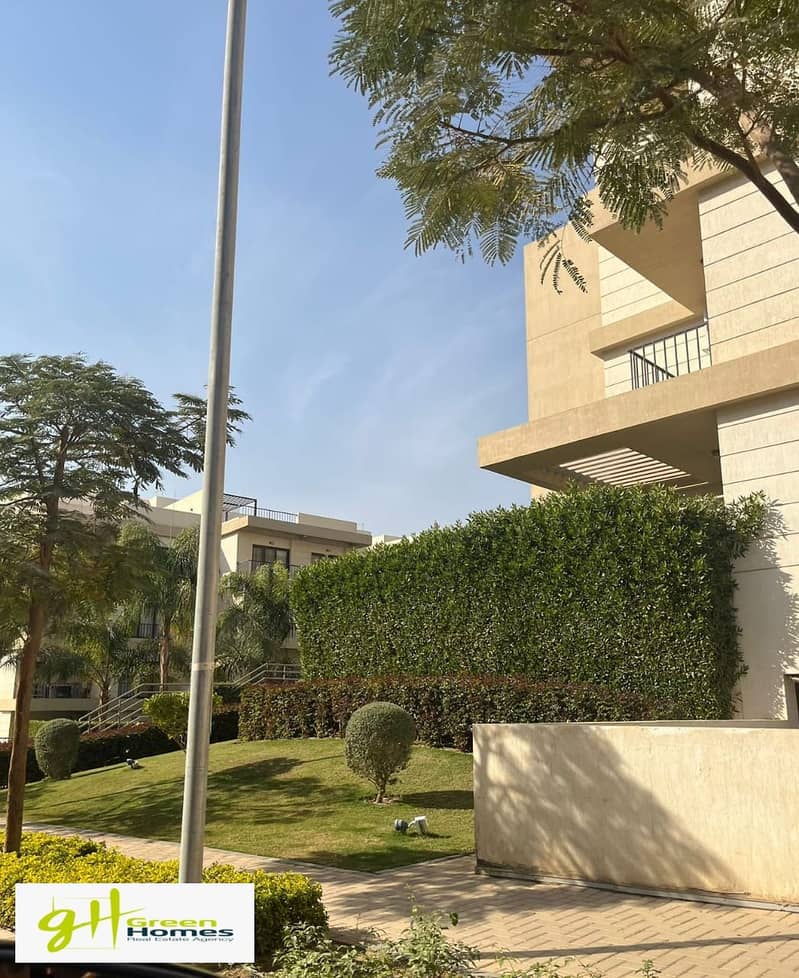 11 7176376d-f6e5-40f2-9cfd-f51594d83987. jpg