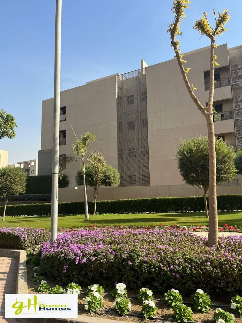 12 447843384_439072585751340_3769942309752756505_n. jpg