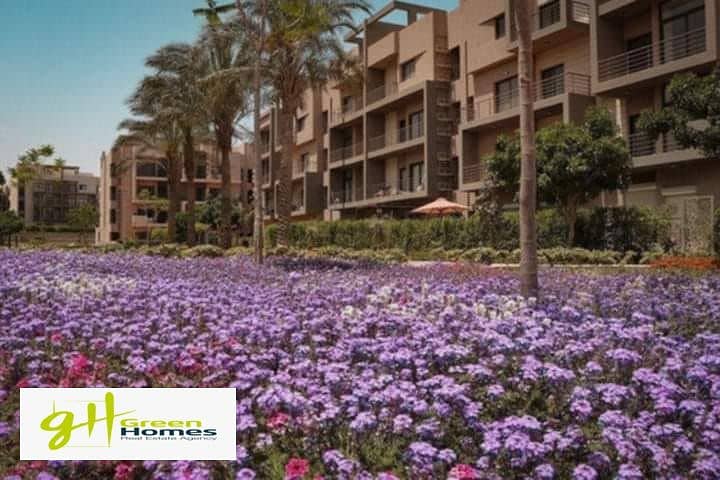 13 465450535_1588754968731362_7065097341893704405_n. jpg