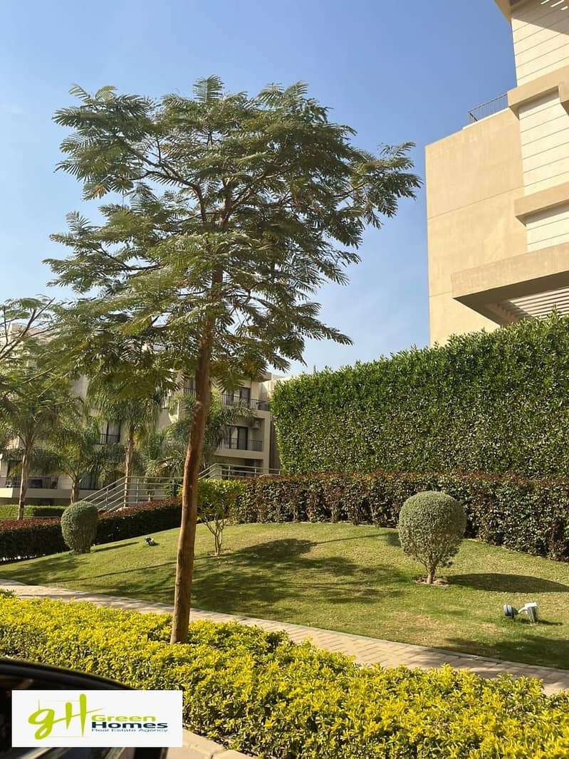 15 a07b6654-62d8-4136-9e04-c3e3798ce28f. jpg