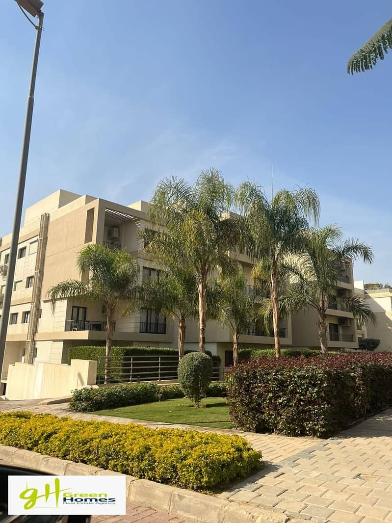 20 e289114d-d7ba-4a86-948d-0617603b420a. jpg