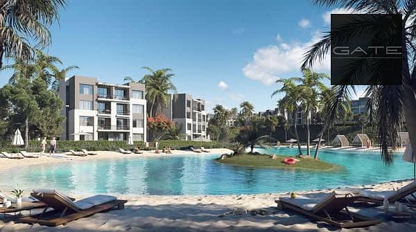 463380277_523725267085507_1558625507489927181_n. jpg