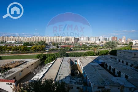 4 Bedroom Flat for Sale in Smoha, Alexandria - 0. jpg 4 Bedroom Flat for Sale in Smoha, Alexandria - 0. jpg