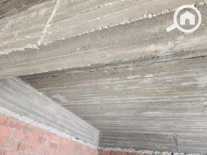 5 050467a4-ce93-4e17-b83f-725de16829e4. jpg