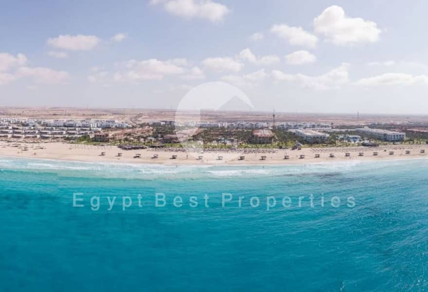 3 WhatsApp Image 2024-06-30 at 05.47. 20_ca626b20. jpg