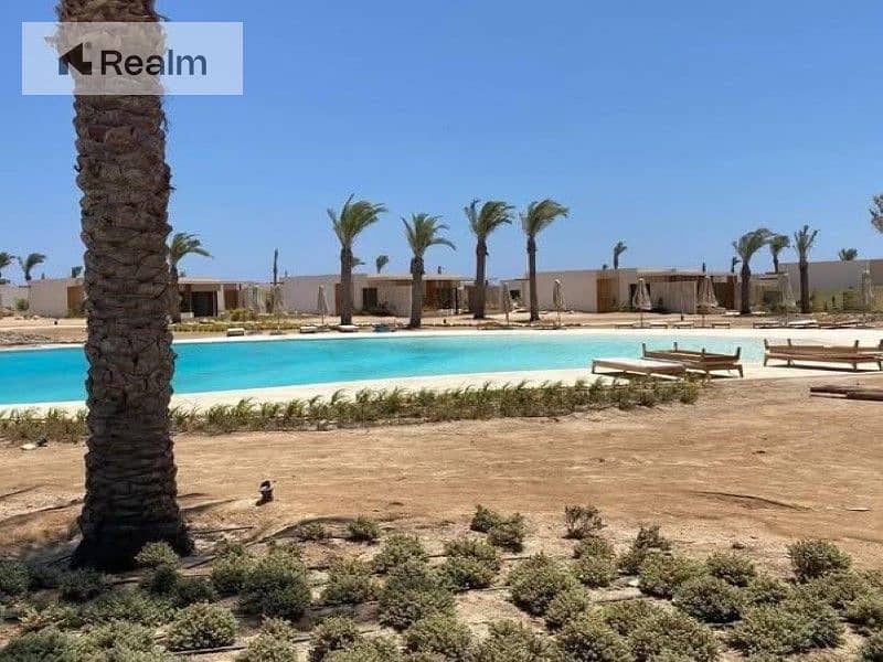 8 495367979_2238388613243357_7956228012734602199_n. jpg