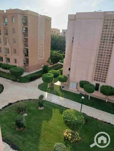 2 Bedroom Apartment for Rent in New Cairo, Cairo - 1001686372. jpg