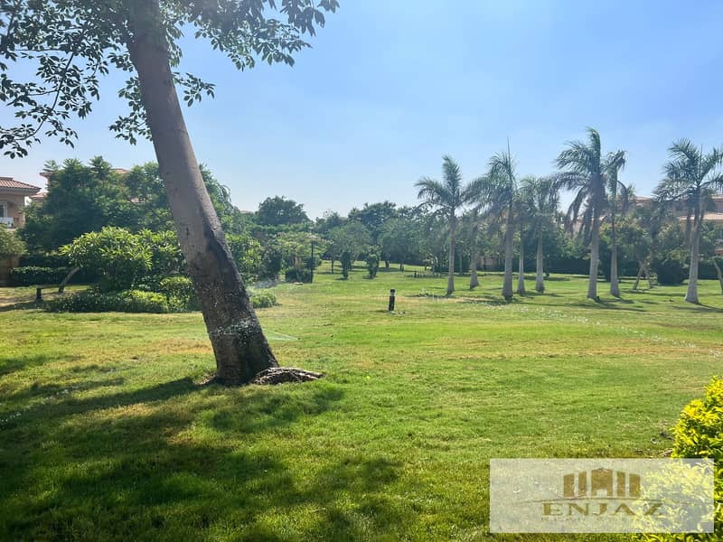 11 04824417-7344-4928-8a04-c3ac683a05f8. jpg