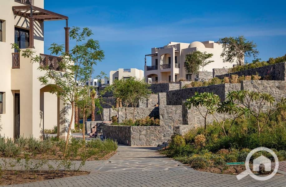 5 557636005_122159065166724134_49322075283452686_n. jpg