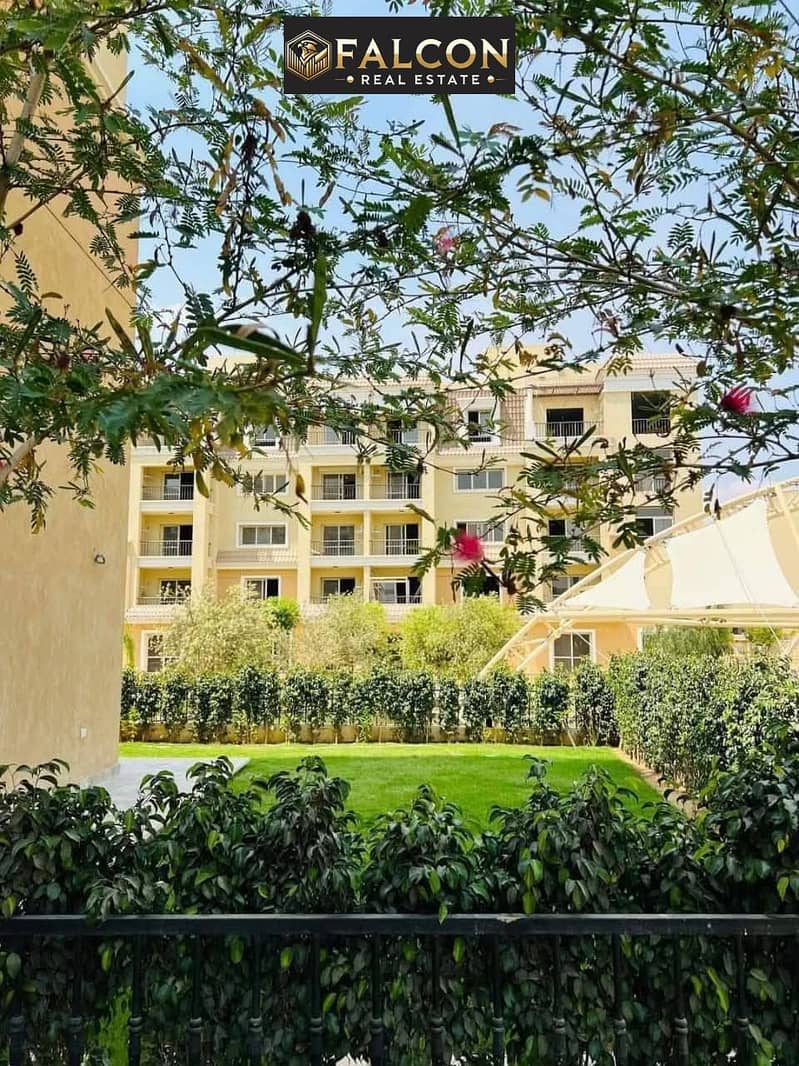 10 486329876_122169276206300709_8381110495832316464_n. jpg