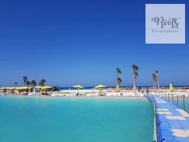 4 527884583_1666270500718897_4856067260959293875_n. jpg