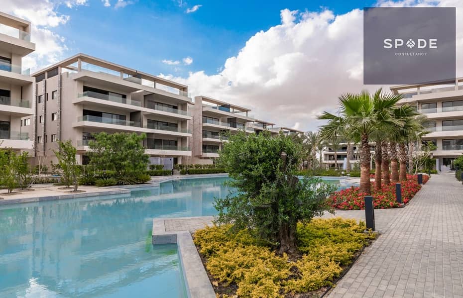 3 cdd8e6f4-c71e-44eb-b56d-3a3da90ab7d9. jpg