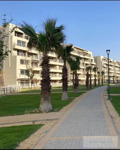 3 Bedroom Flat for Sale in New Cairo, Cairo - IMG-20250130-WA0546. jpg