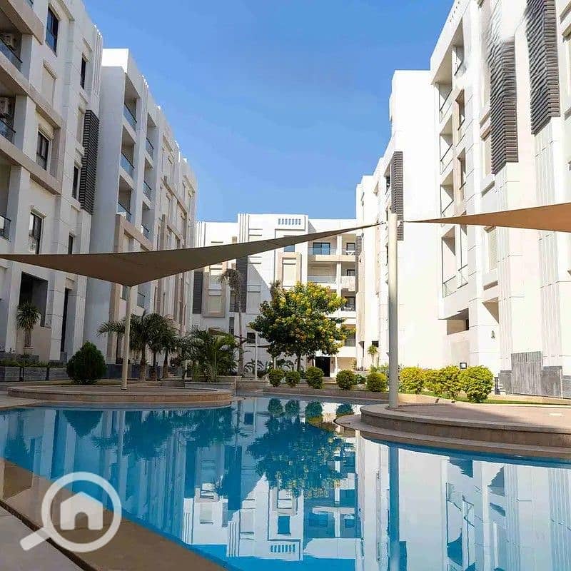 4 32699713-800x600. jpg