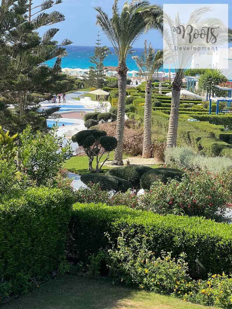 24 WhatsApp Image 2025-10-22 at 19.33. 50. jpeg