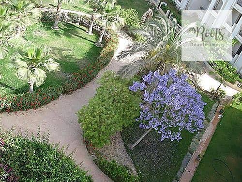 11 WhatsApp Image 2025-11-02 at 18.26. 03 (5). jpeg