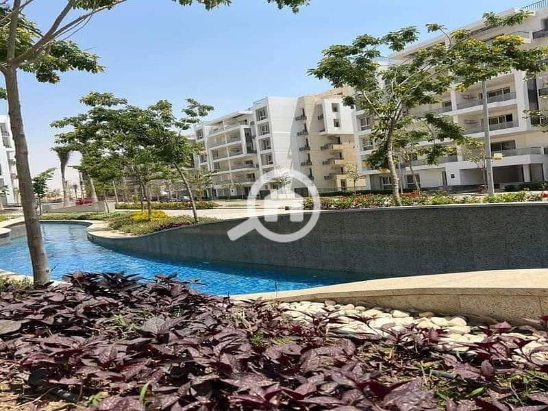 4 2eb8fa16-4bbd-4ddc-947e-e67815679b47_800x600. jpg