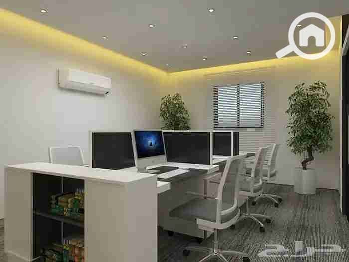 270593. webp 270593. webp