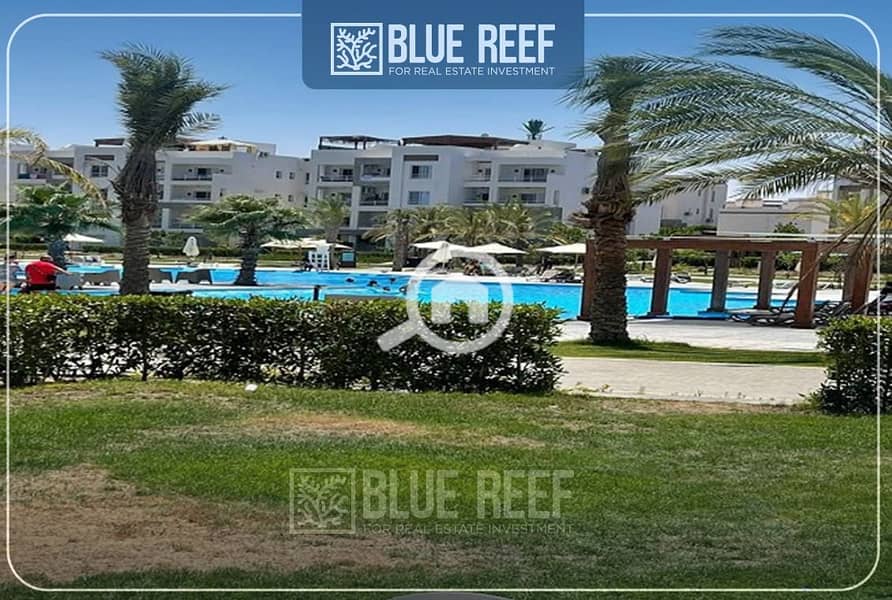 10 WhatsApp Image 2025-06-30 at 1.41. 04 PM (3). jpeg