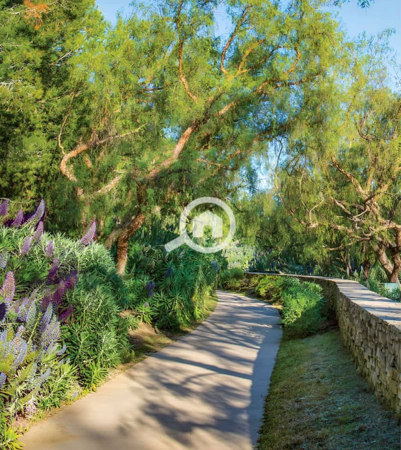 5 WhatsApp Image 2025-09-17 at 2.28. 14 PM (2). jpeg