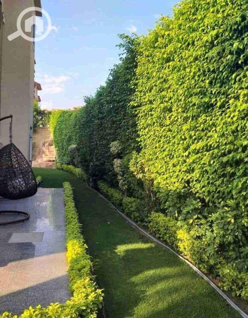 8 IMG-20251101-WA0005. jpg