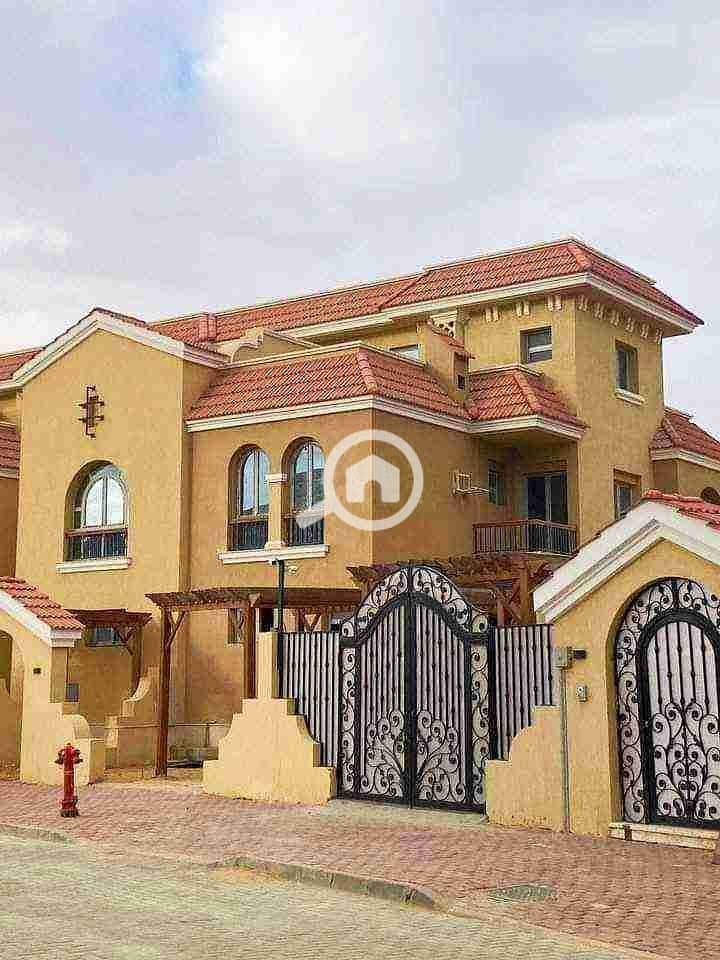 1000530431. jpg 1000530431. jpg