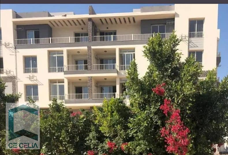 397558717_827440949117154_8303857485503229240_n. jpg