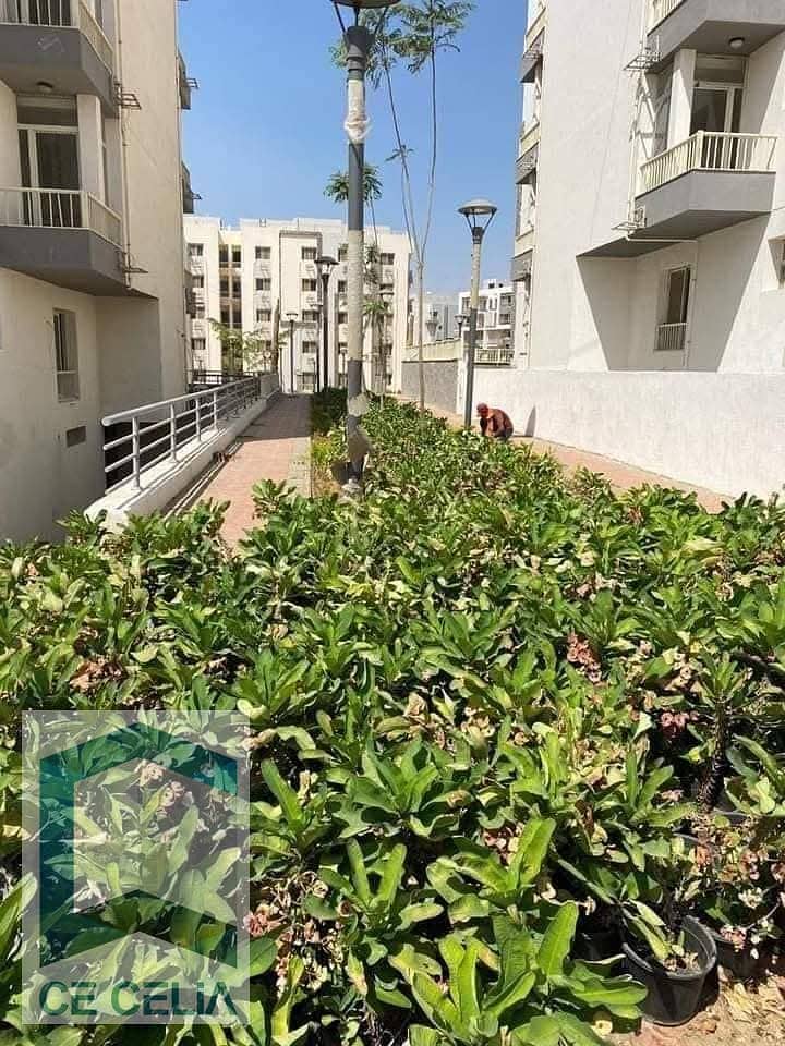 6 468746284_3669072926571561_251912836966063011_n. jpg