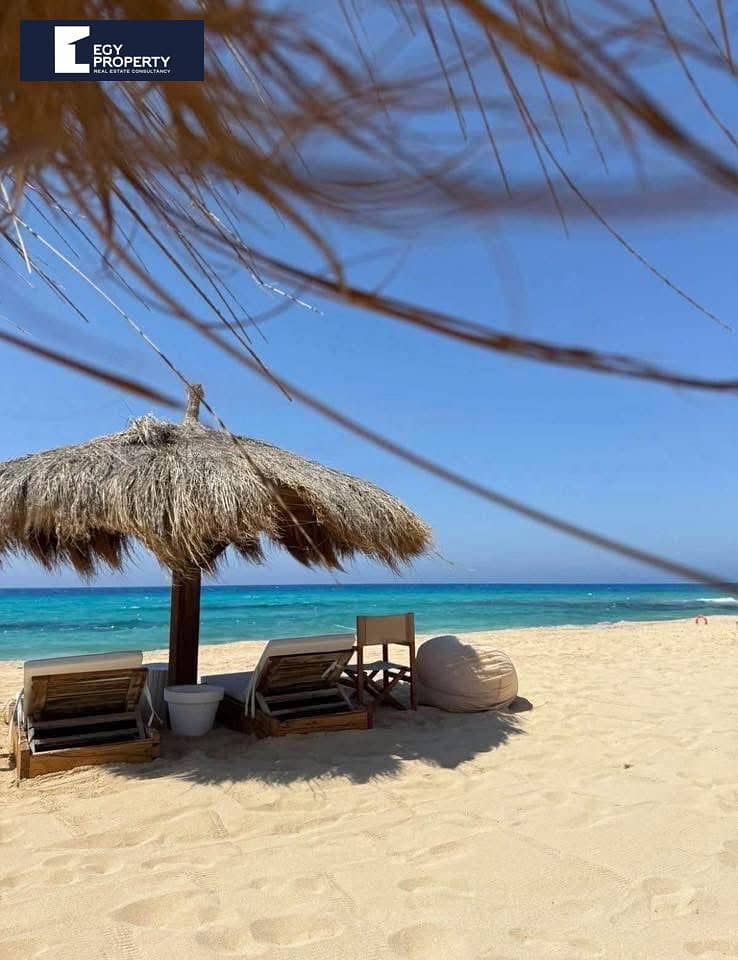 4 1e4417c0-55ef-431a-be75-ed468308e28a. jpg