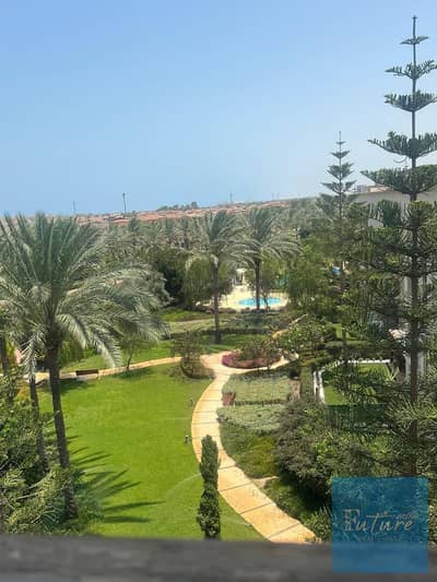 شاليه 1 غرفة نوم للبيع في الساحل الشمالي، مطروح - WhatsApp Image 2025-09-01 at 11.30. 37 PM (3). jpeg