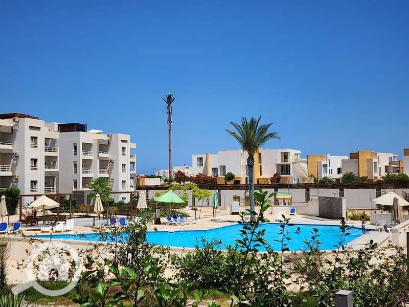 10 WhatsApp Image 2024-08-05 at 12.33. 34 PM (1). jpeg