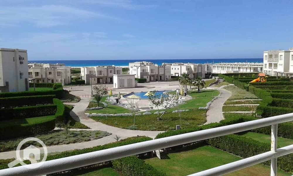 16 WhatsApp Image 2024-08-05 at 12.33. 46 PM. jpeg