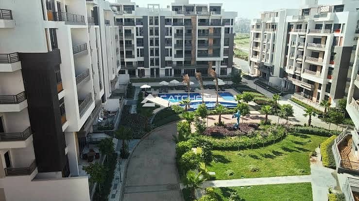 4 558956024_122165086094607373_7176009079284041156_n. jpg