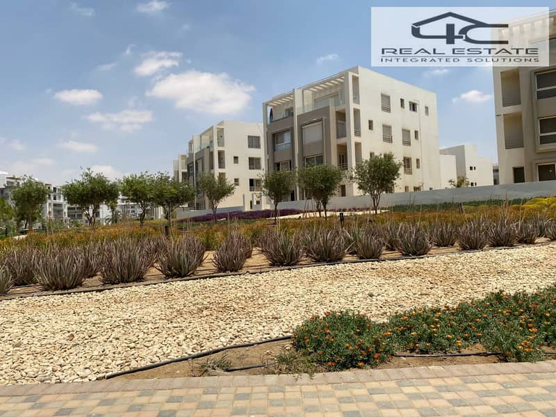 15 WhatsApp Image 2025-06-08 at 7.15. 16 PM. jpeg