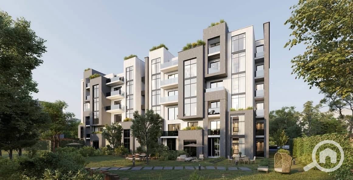 558332683_122160394898782987_8715172529894707043_n. jpg