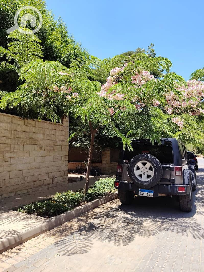 7 photo_2025-07-17_11-42-20. jpg