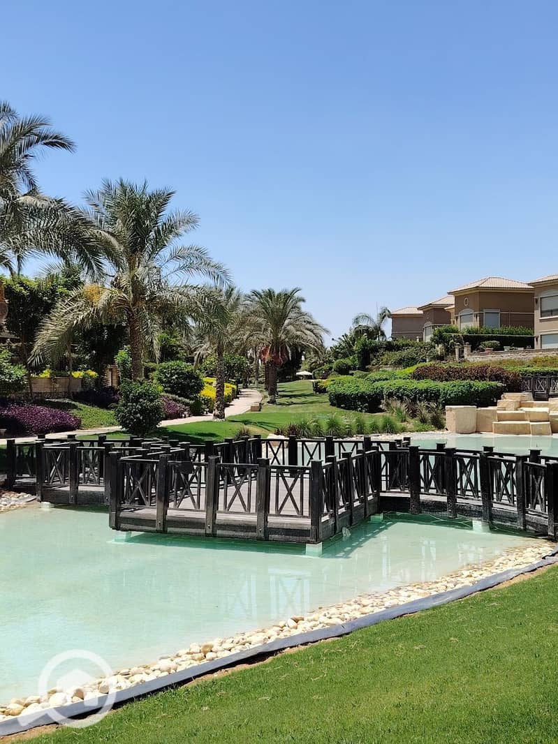 8 photo_2025-07-17_11-42-10. jpg