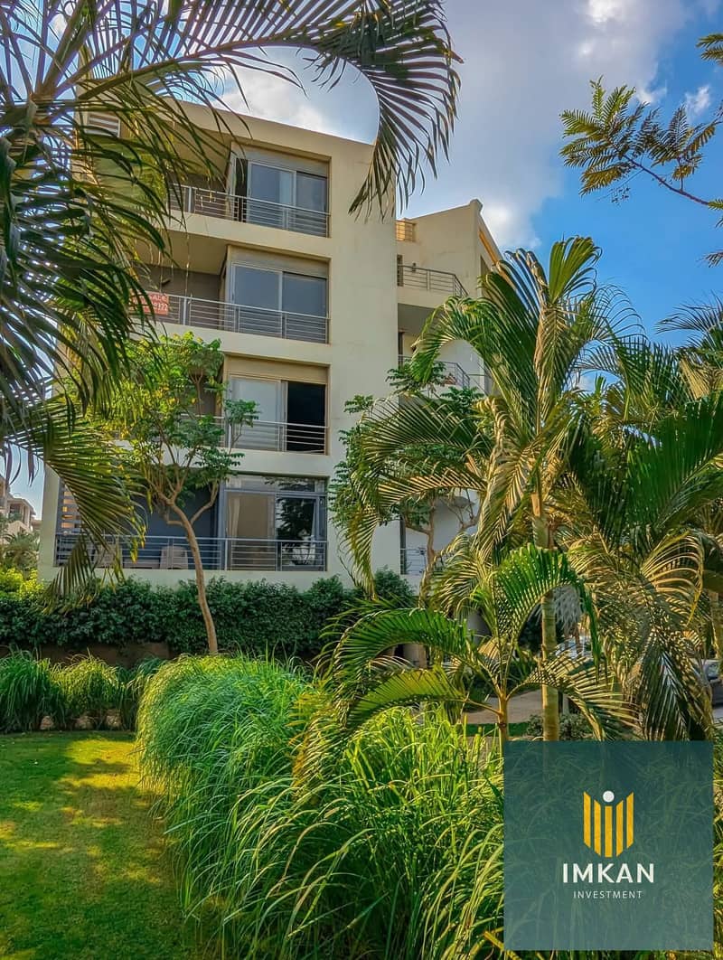 5 FB_IMG_1748207858239. jpg