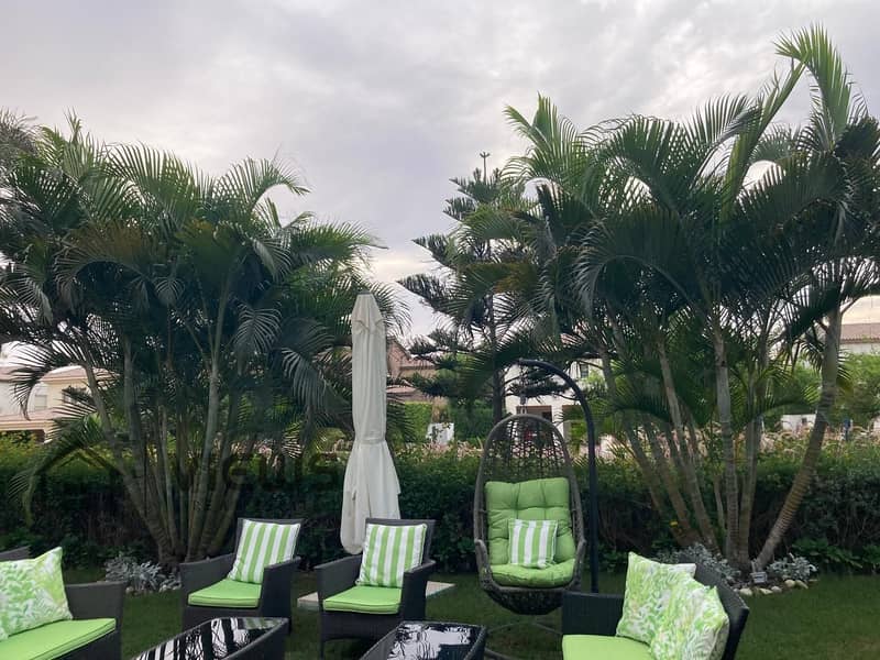 17 WhatsApp Image 2025-10-02 at 4.29. 38 PM. jpeg