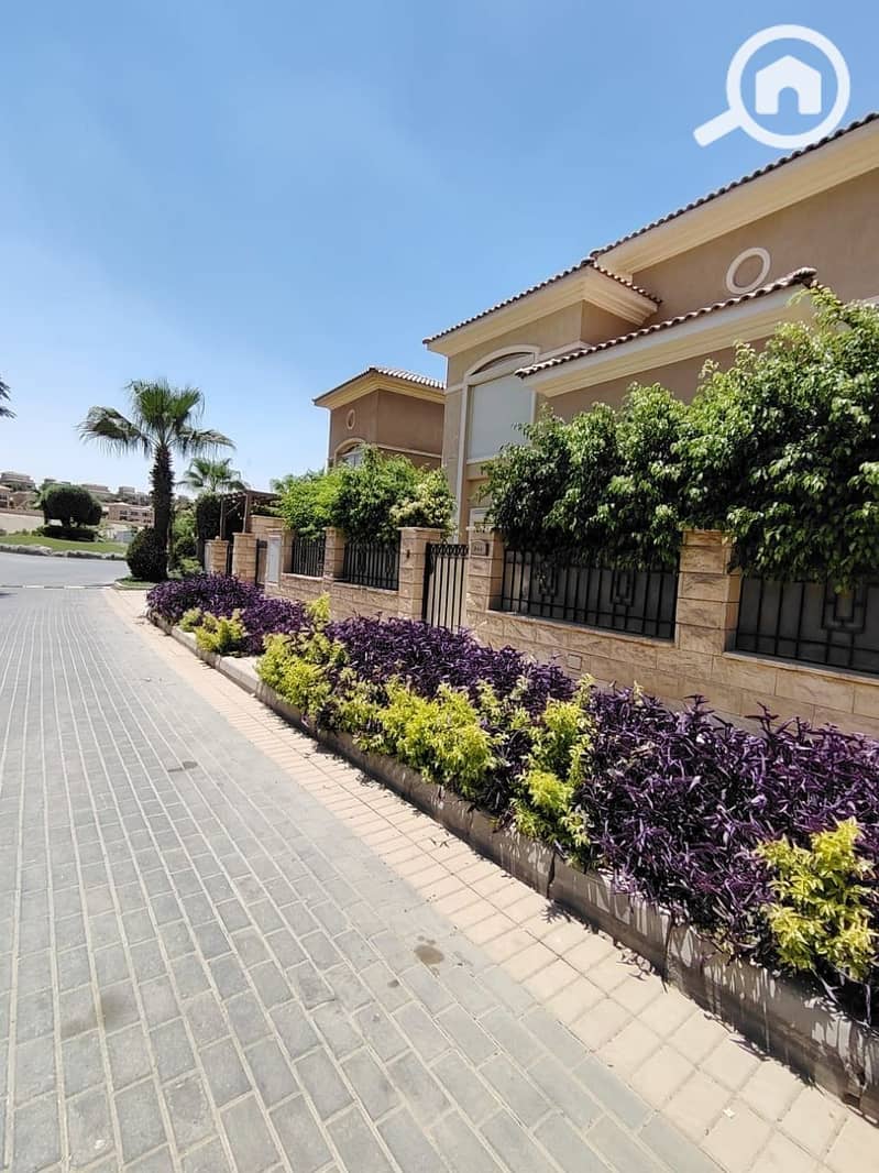 3 photo_2025-07-17_11-50-02. jpg