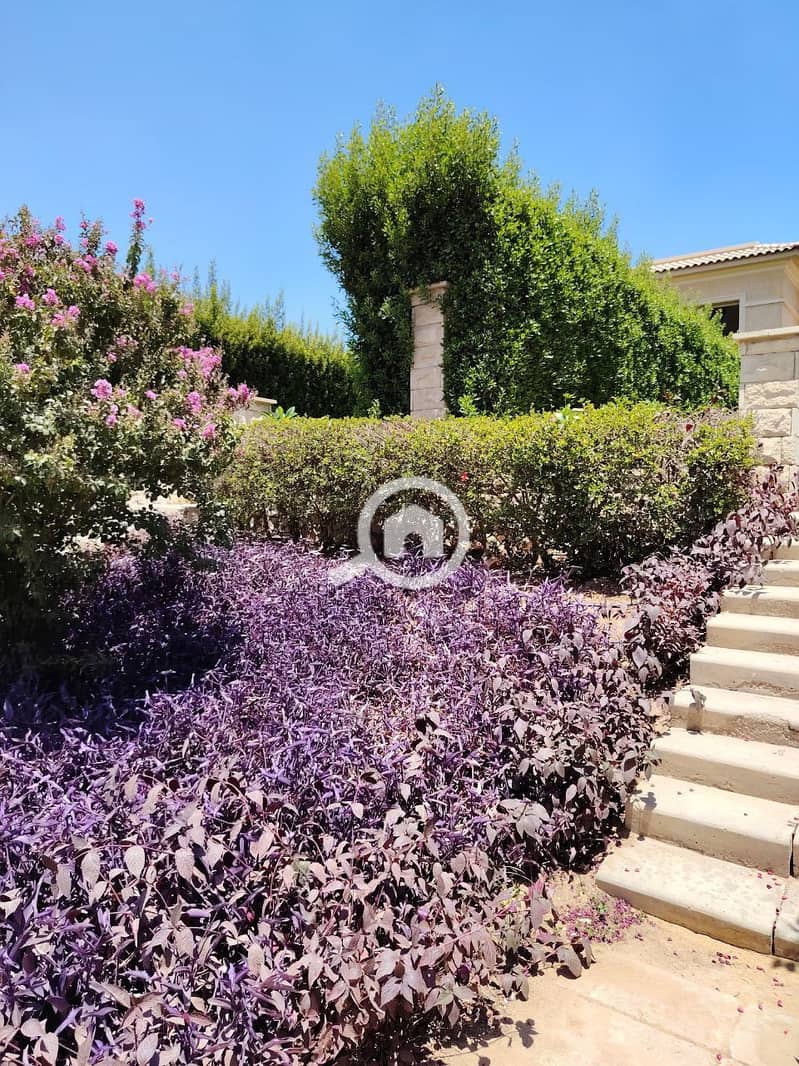 10 photo_2025-07-17_11-42-14. jpg