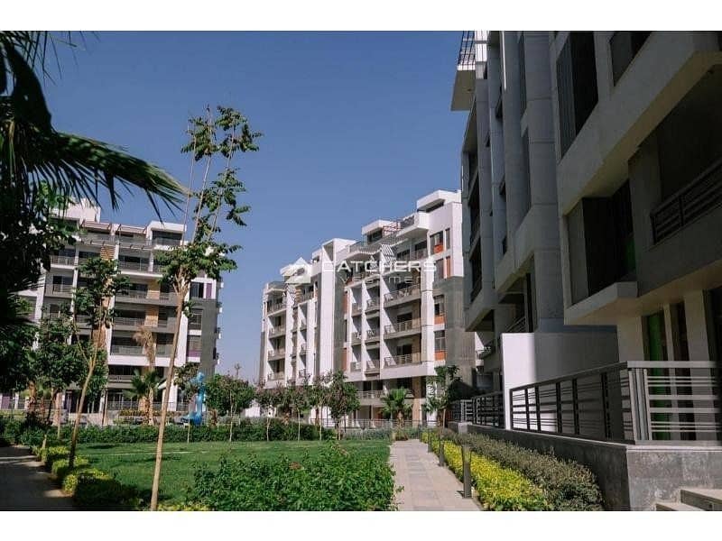 8 573597141_24866720029676288_3364054196965638004_n. jpg