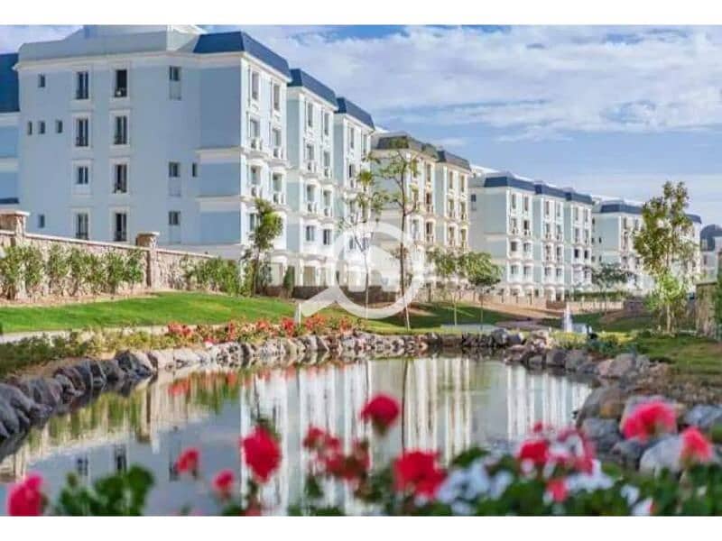 5 7683206-2617bo. jpg