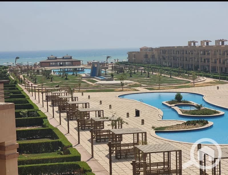 3 WhatsApp Image 2025-11-02 at 22.45. 54_c73207b0. jpg